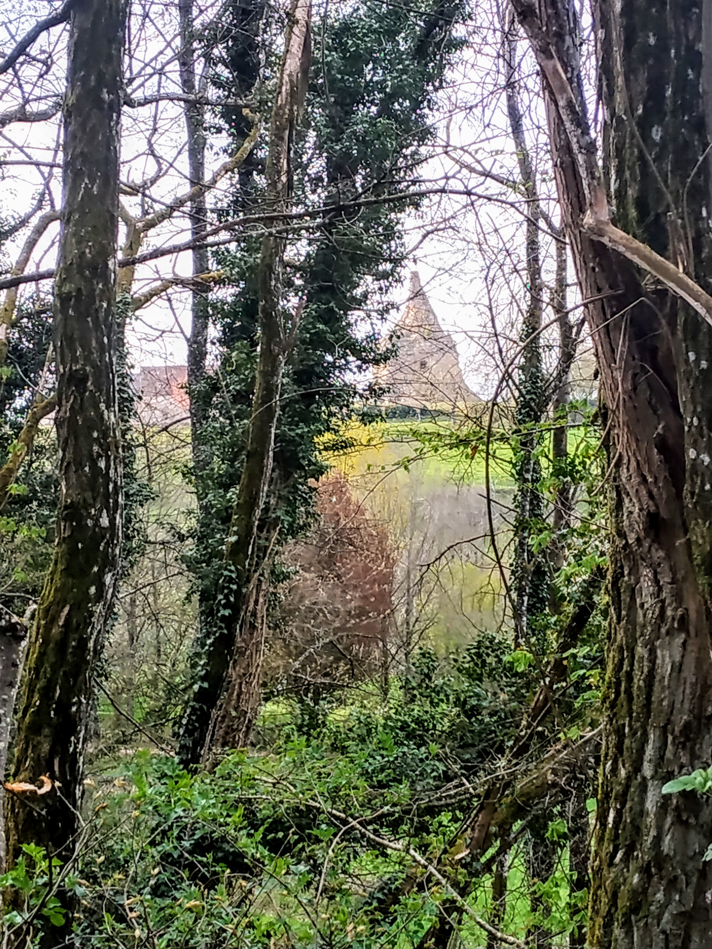 Photo n° 1 de l'avis de Julie.i fait le 11/04/2019 à 15:48