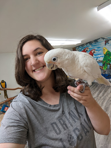 Bird Shop «Wholesale Bird & Cage LLC», reviews and photos, 1805 Ford Ln, St Charles, MO 63303, USA