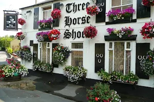 Three Horse Shoes image