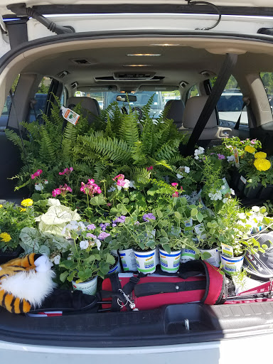 Home Improvement Store «The Home Depot», reviews and photos, 37 Ellisville Towne Centre Dr, Ellisville, MO 63011, USA