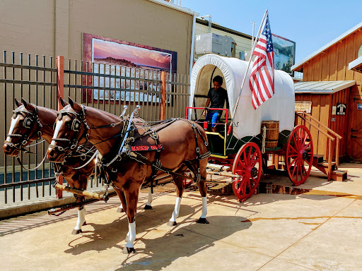 Drug Store «Wall Drug Store», reviews and photos, 510 Main St, Wall, SD 57790, USA