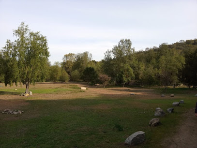 Parque Nativo 'Los Peumos de Quilpué'