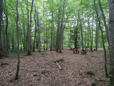 Les Hauts Grillots à Chaource