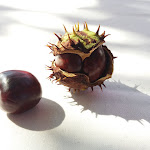 Photo n°1 de l'avis de Werngard. fait le 22/09/2018 à 02:50 sur le  Landhaus Zum Schwanen à Babenhausen