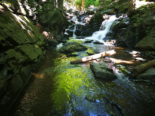 History Museum «West Point Foundry Preserve», reviews and photos, 80 Kemble Ave, Cold Spring, NY 10516, USA