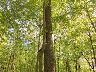 Eunice H. Bryan Woods State Nature Preserve