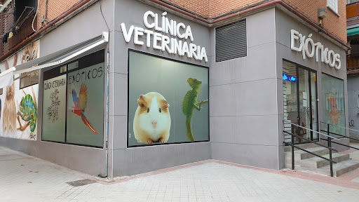 Clínica Veterinaria Exóticos en Fuenlabrada
