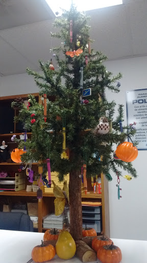 Non-Profit Organization «St. Vincent de Paul Society», reviews and photos