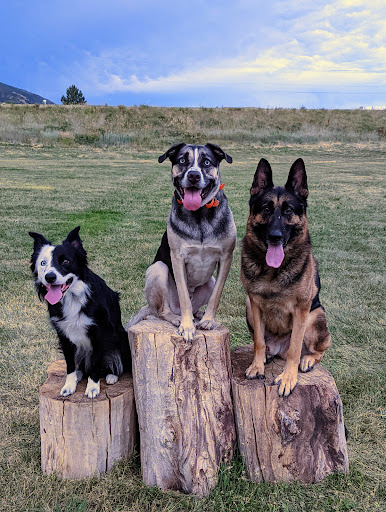 Pet Supply Store «The Animal Park Marketplace», reviews and photos, 744 W Riverdale Rd, Riverdale, UT 84405, USA