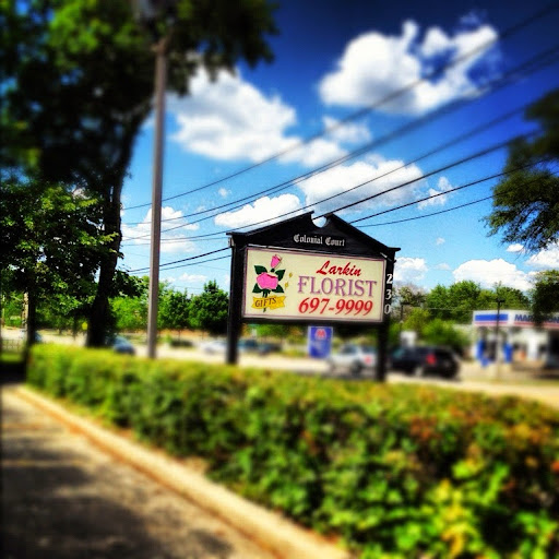 Florist «Larkin Floral & Gifts», reviews and photos, 230 N McLean Blvd, Elgin, IL 60123, USA