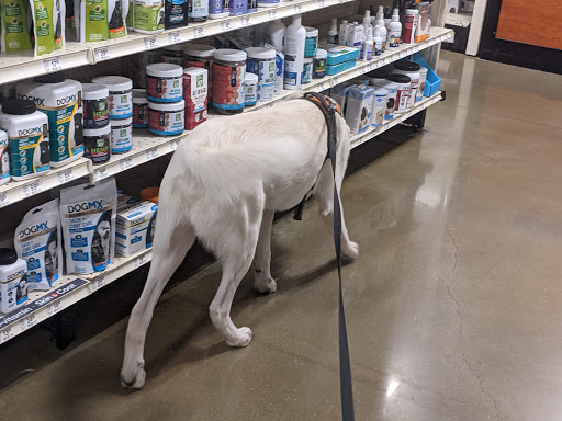 Pet Supply Store «PetSmart», reviews and photos, 6102 Ave J, Galveston, TX 77551, USA