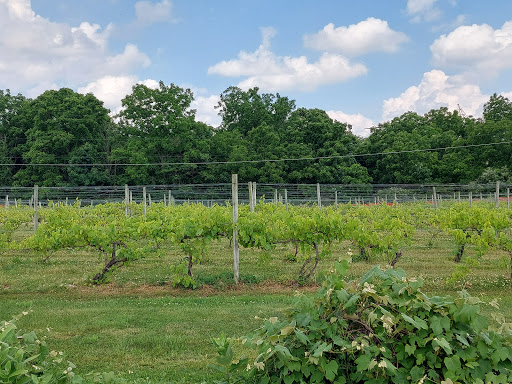 Winery «Spyglass Ridge Winery», reviews and photos, 105 Carroll Rd, Sunbury, PA 17801, USA