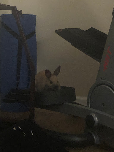 Pet Supply Store «Pet Partners», reviews and photos, 1962 W State St, Bristol, TN 37620, USA