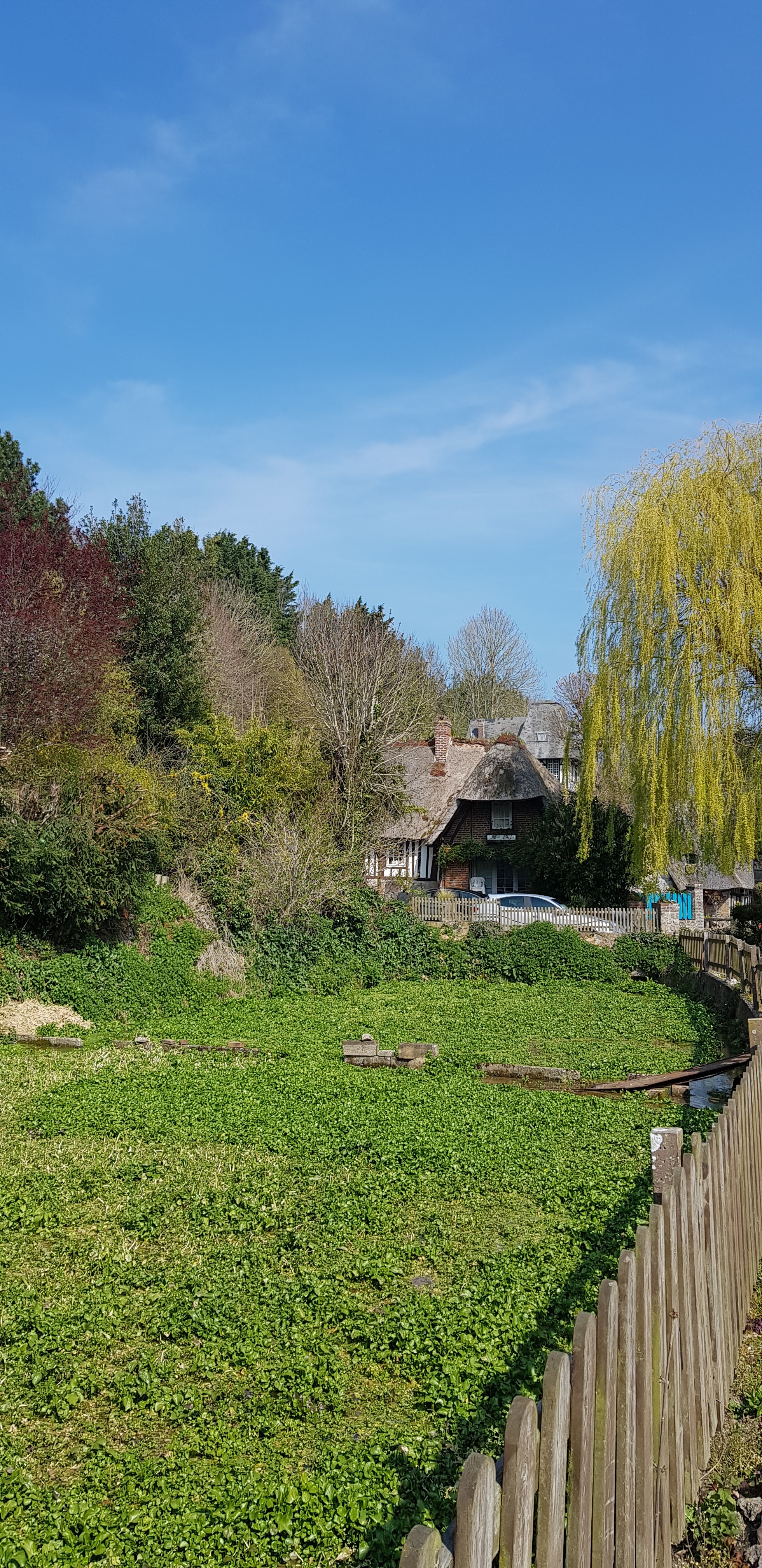 Photo n° 6 de l'avis de beatrice.r fait le 08/04/2019 à 15:08