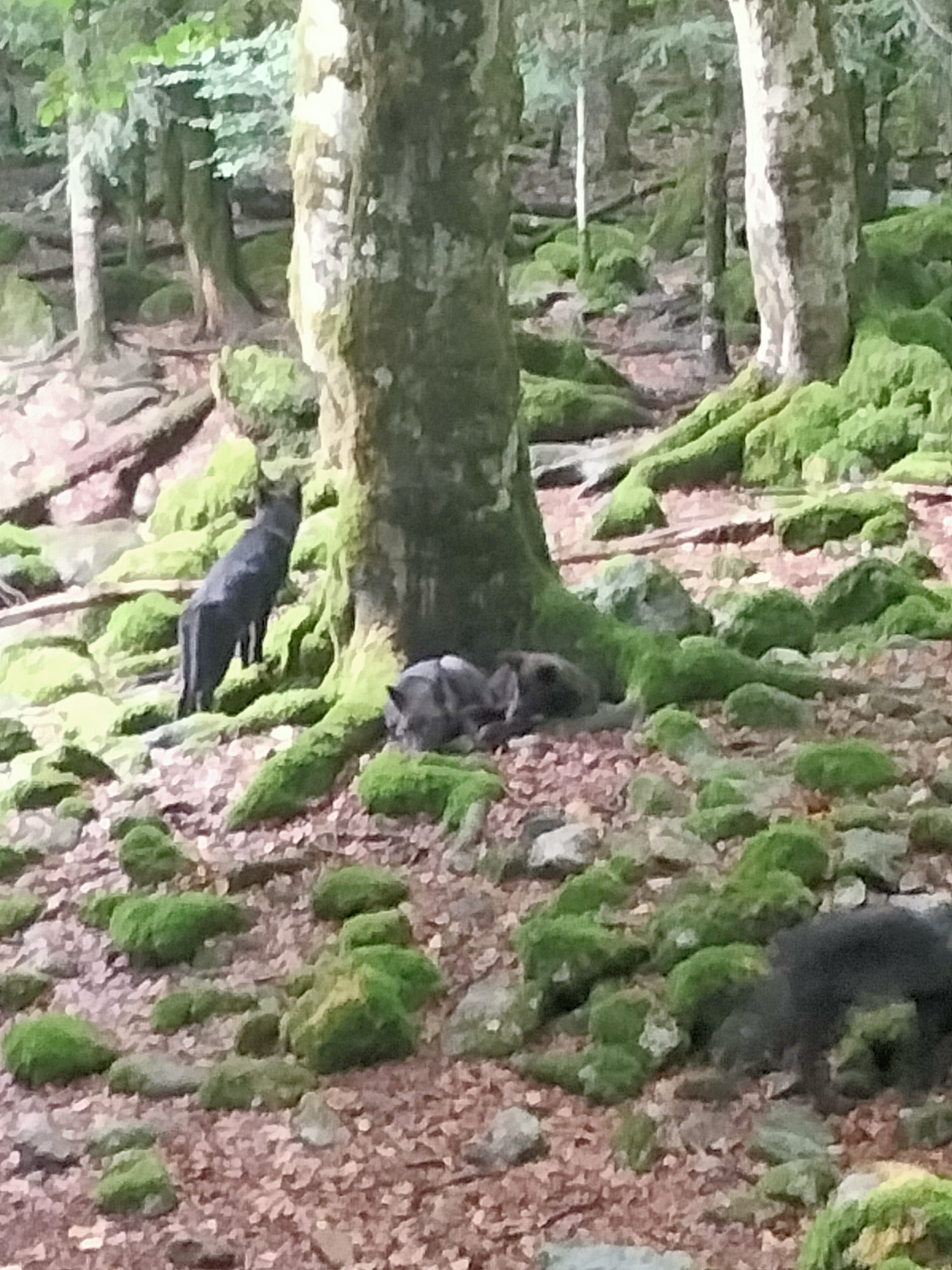 Photo n° 2 de l'avis de Chloé.a fait le 18/08/2022 à 16:02