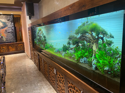 Top 20 chính sách cửa hàng Quận 5 Hồ Chí Minh 2022