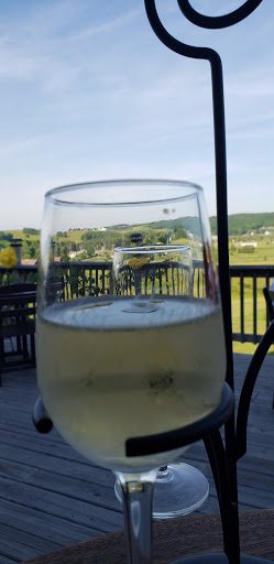 Winery «Petoskey Farms Vineyard & Winery», reviews and photos, 3720 Atkins Rd, Petoskey, MI 49770, USA