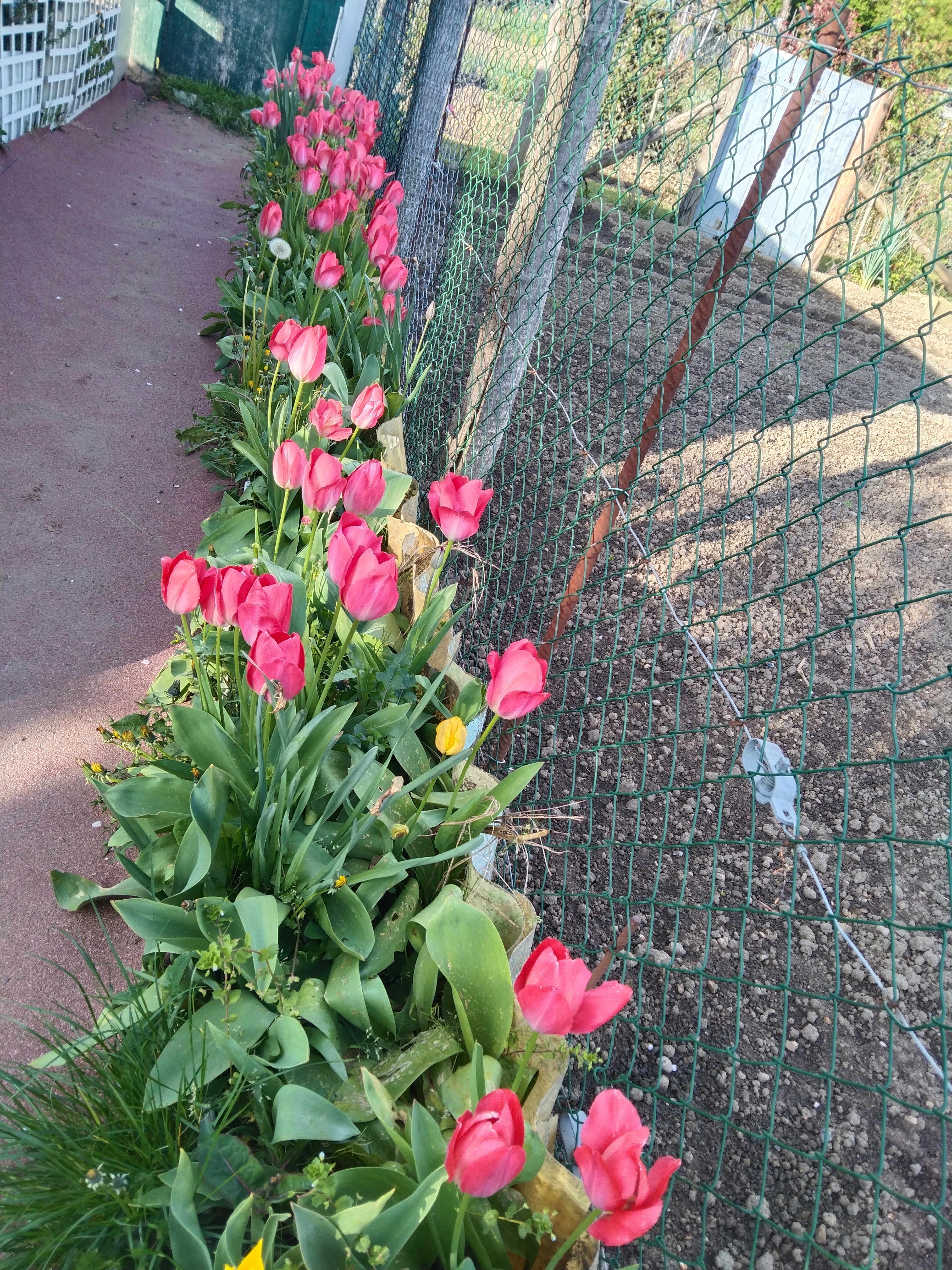 Photo n° 1 de l'avis de António.i fait le 28/04/2023 à 18:26