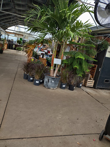 Plant Nursery «Blooming Acres», reviews and photos, 7561 State Rd, Wadsworth, OH 44281, USA