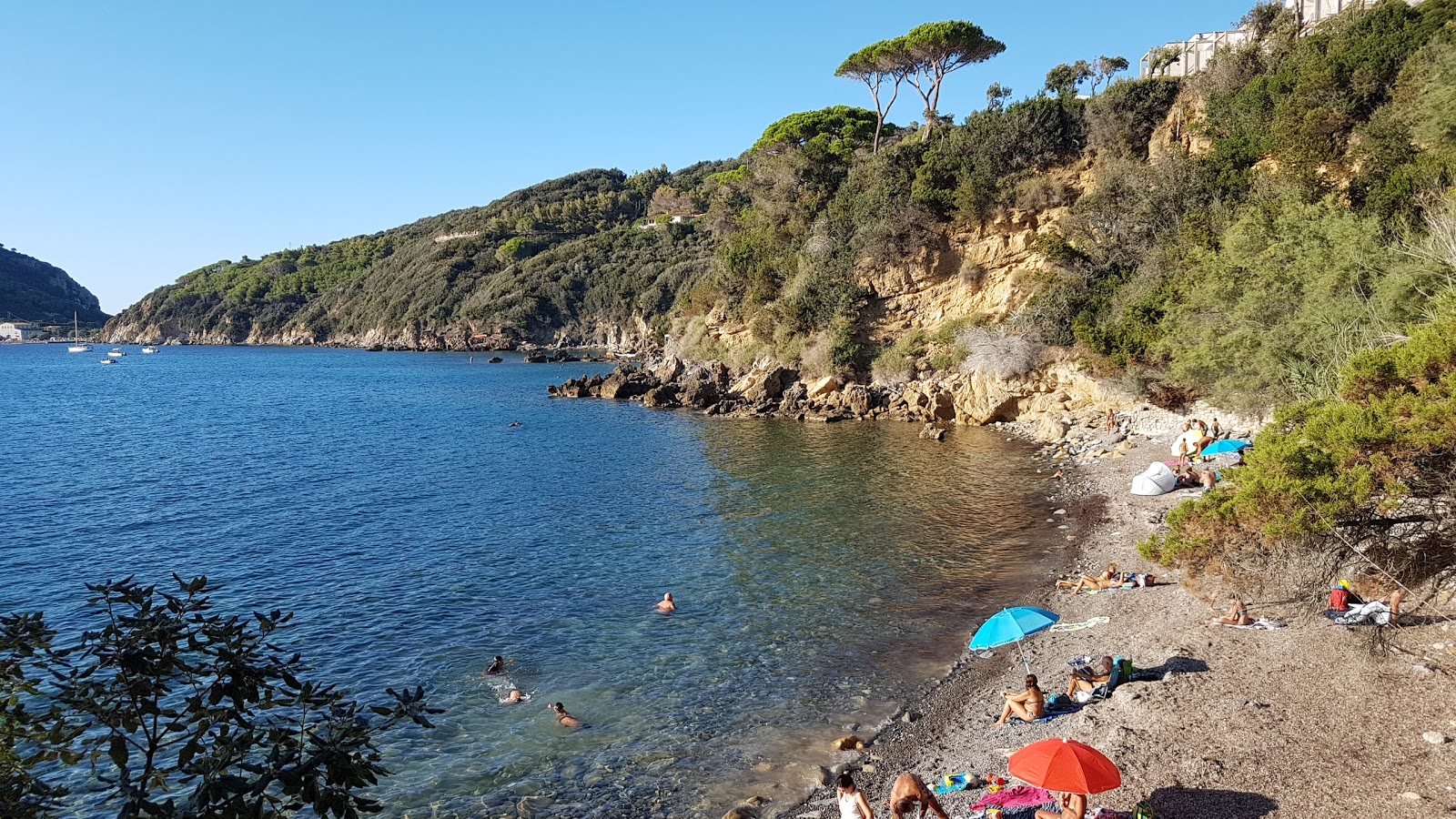 Foto van Spiaggia del Viticcio met hoog niveau van netheid