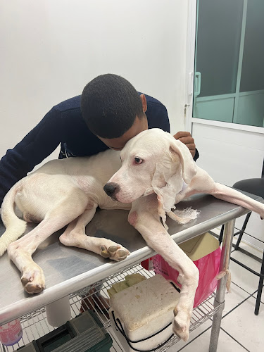 Veterinaria Los Cabos