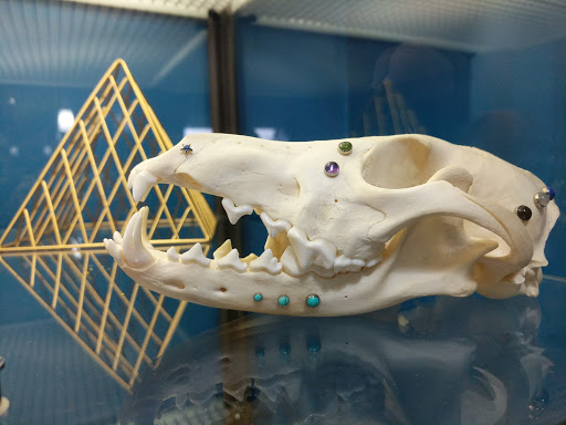 Explore bay area tattoo ideas, creative tattoo ideas in Louisville, available at Twisted Images