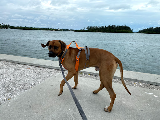 2515 SW 27th Ave, Miami, FL 33133, USA