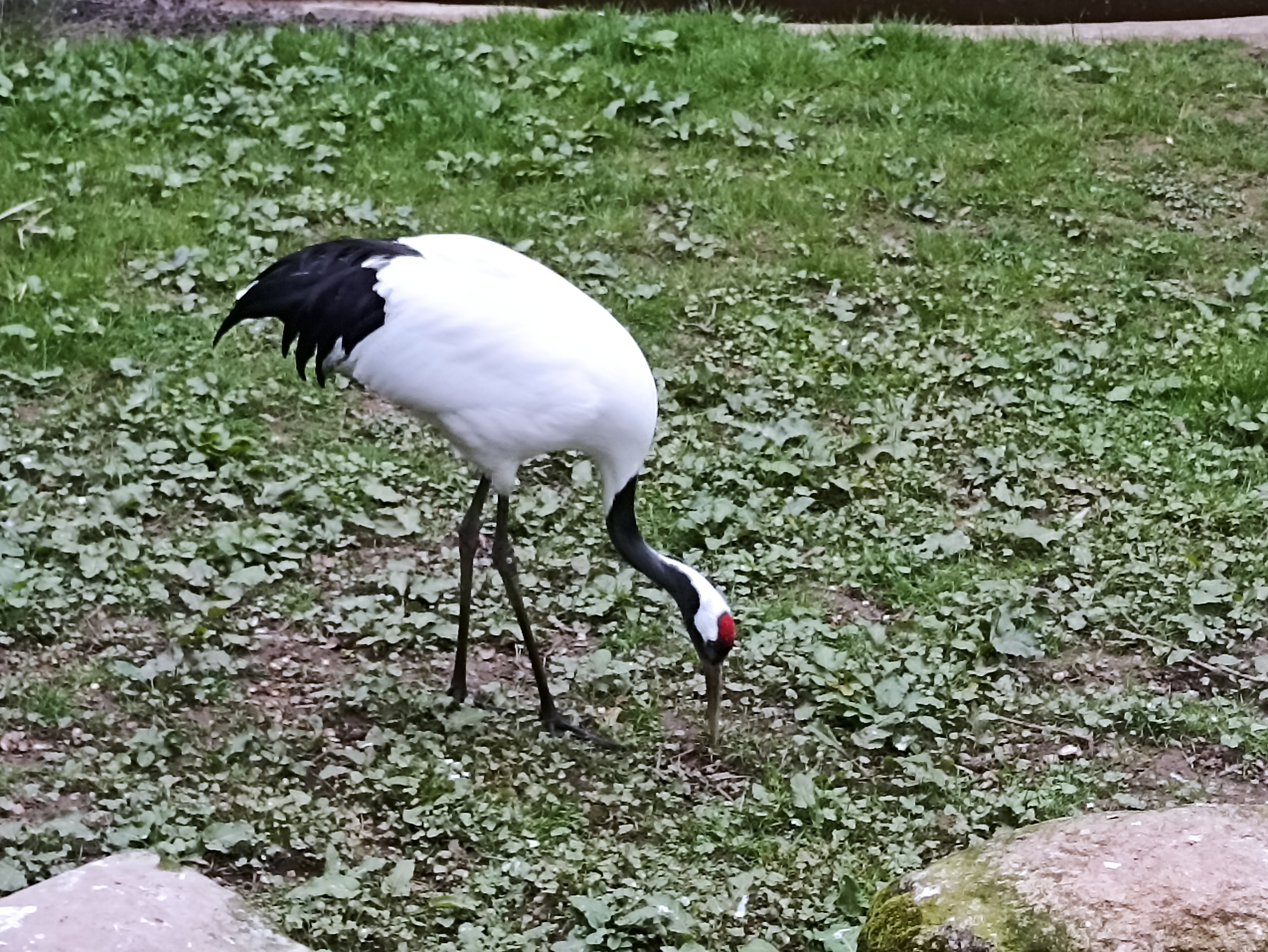 Photo n° 3 de l'avis de INGRID.. fait le 01/05/2023 à 21:03