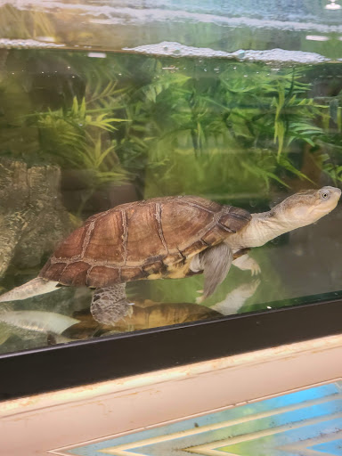 Pet Supply Store «PetSmart», reviews and photos, 7340 W 191st St, Tinley Park, IL 60487, USA