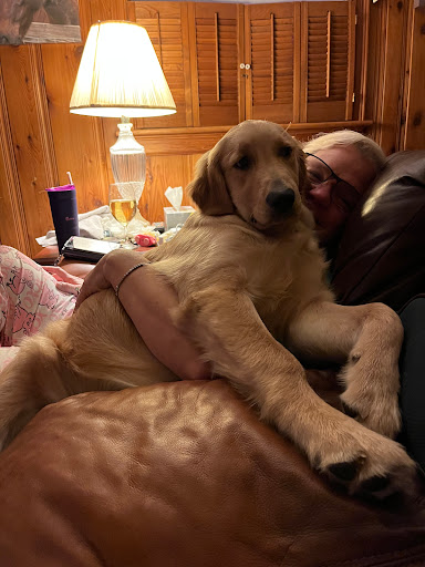 Pet Supply Store «Ridge Dog Shop», reviews and photos, 1505 N Parham Rd, Richmond, VA 23229, USA