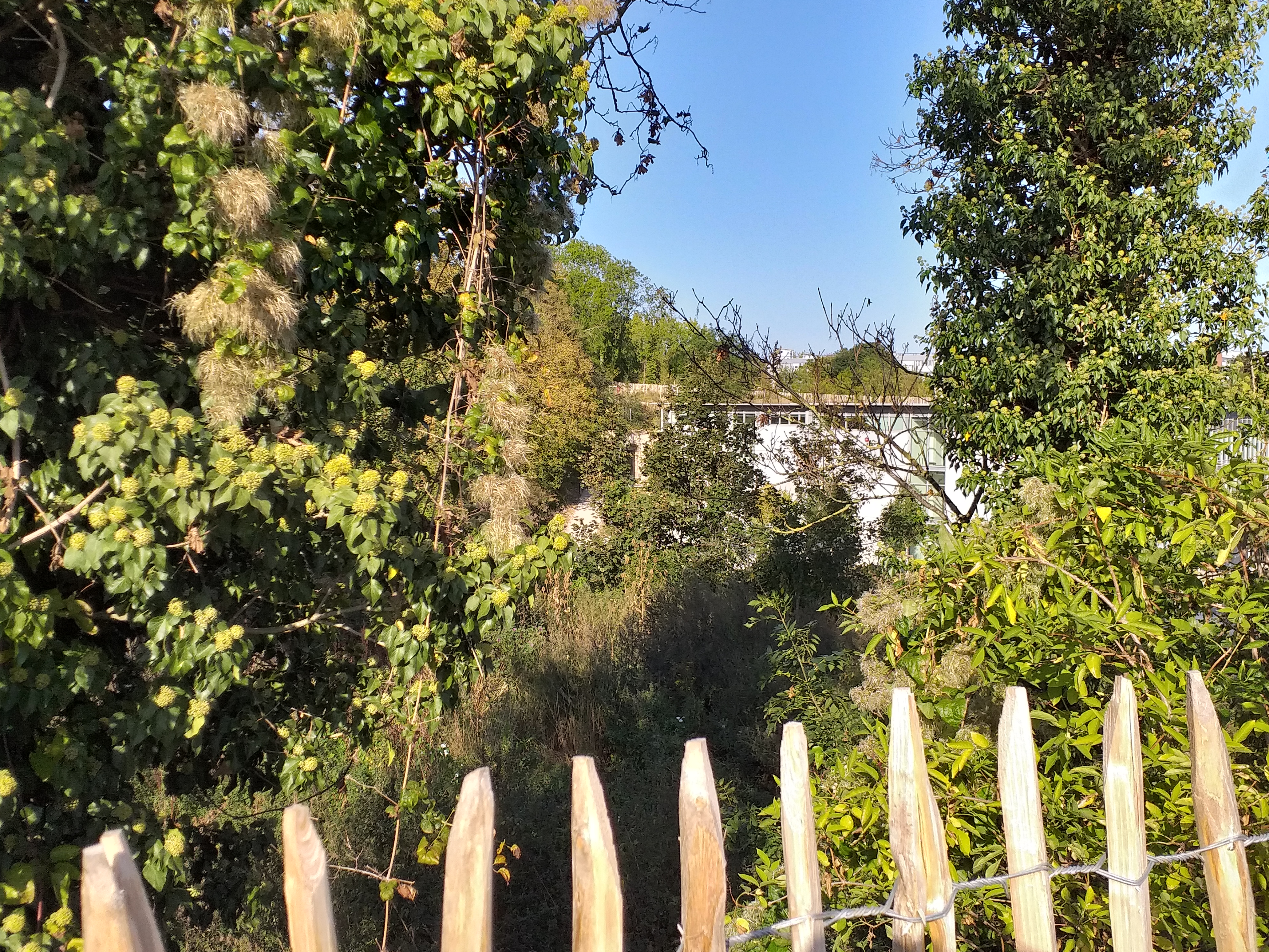 Photo n° 2 de l'avis de Fabien.o fait le 01/10/2019 à 06:39