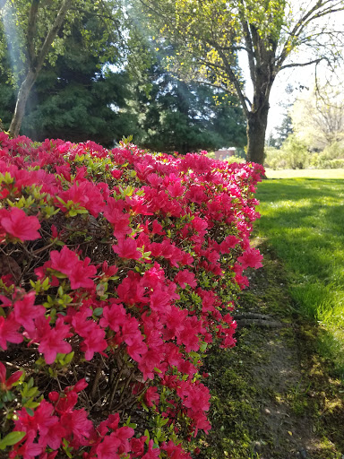 National Park «Fort Vancouver National Historic Site», reviews and photos, 612 E Reserve St, Vancouver, WA 98661, USA
