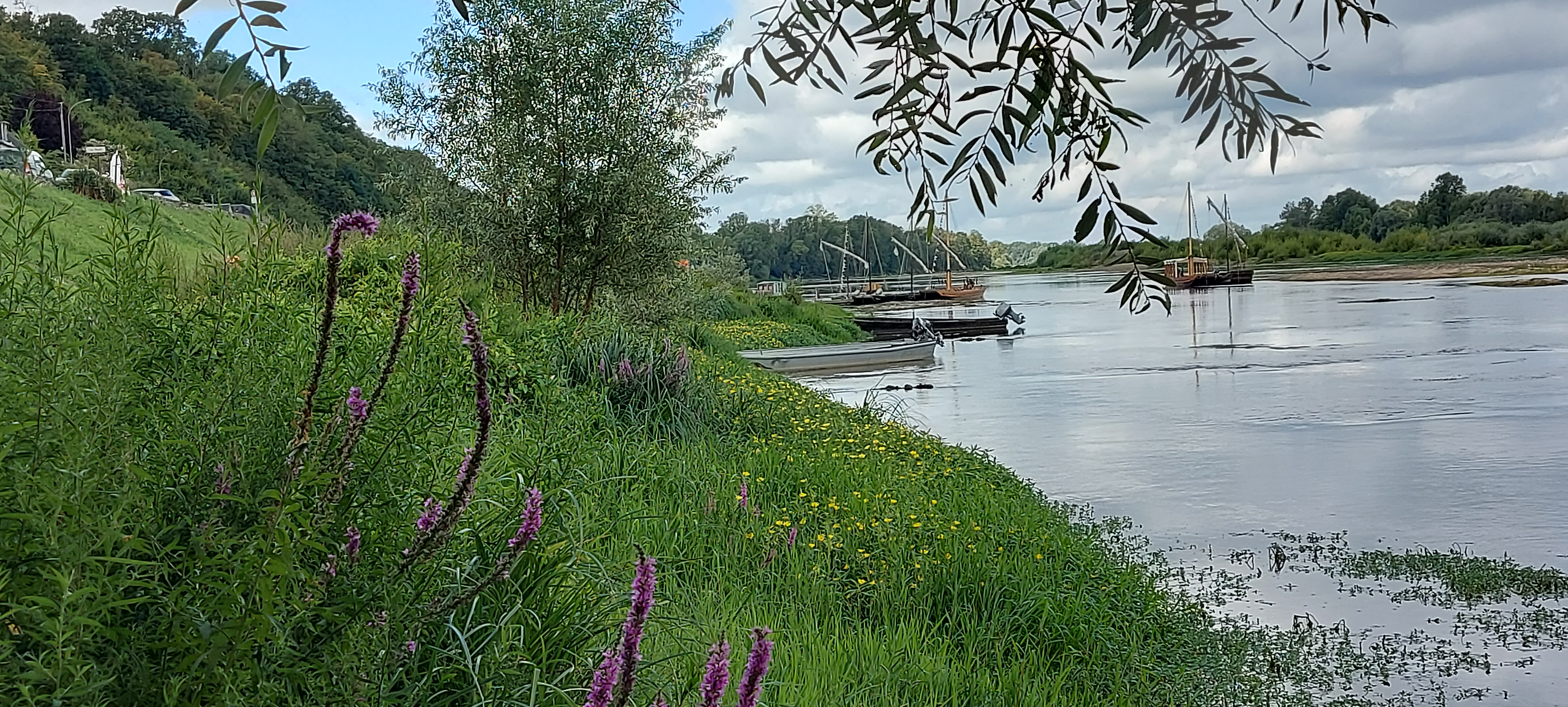 Photo n° 1 de l'avis de Denis.a fait le 20/08/2023 à 20:29