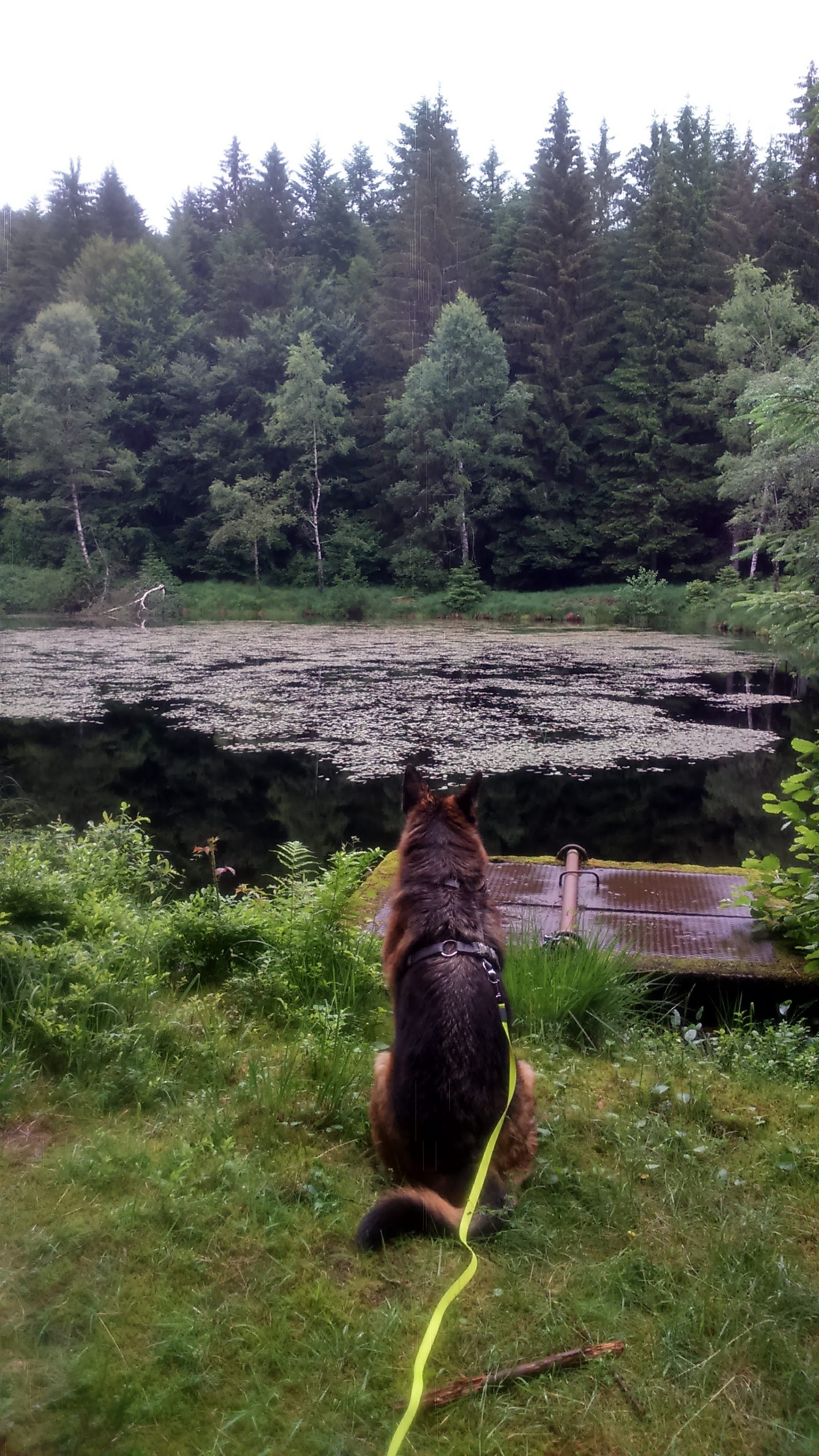 Photo n° 2 de l'avis de Jerome.n fait le 09/06/2018 à 17:34