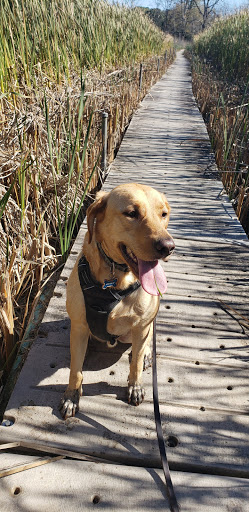 Nature Preserve «Volo Bog», reviews and photos, 28478 W Brandenburg Rd, Ingleside, IL 60041, USA