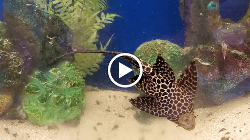 Nature Preserve «Calusa Nature Center & Planetarium», reviews and photos, 3450 Ortiz Ave, Fort Myers, FL 33905, USA