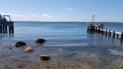 Aquarium «Woods Hole Science Aquarium», reviews and photos, 166 Water St, Woods Hole, MA 02543, USA