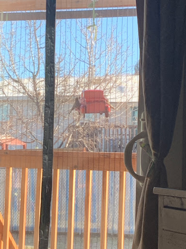 Home Improvement Store «Tractor Supply Co.», reviews and photos, 6880 Beaman Way, Stansbury Park, UT 84074, USA