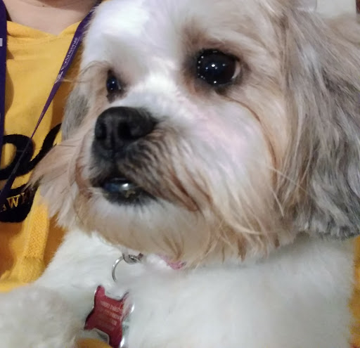 Pet Supply Store «PetSmart», reviews and photos, 533 S Tracy St, Wichita, KS 67209, USA