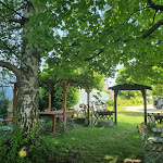 Photo n°4 de l'avis de Wayne.o fait le 19/06/2022 à 21:14 sur le  Reichenauer Salatstube à Reichenau