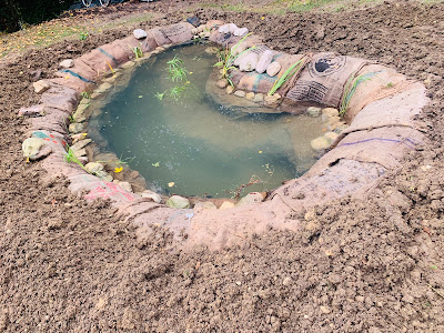 Terre d'Essènci, oasis de biodiversité à Saint-Jeannet