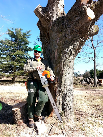 Grenacres Tree Removal Services, Arborist Services