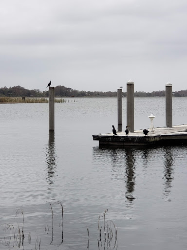 Park «Gilbert Park», reviews and photos, 310 S Tremain St, Mt Dora, FL 32757, USA