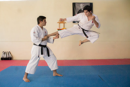 Byakko Shotokan Karate Do