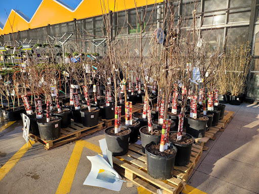 Home Improvement Store «The Home Depot», reviews and photos, 230 Oak Lee Dr, Ranson, WV 25438, USA