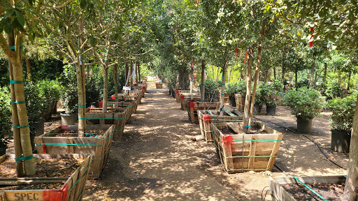 Moon Valley Nurseries