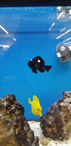 Pet Supply Store «Petco Animal Supplies», reviews and photos, 825 Brevard Rd, Asheville, NC 28806, USA