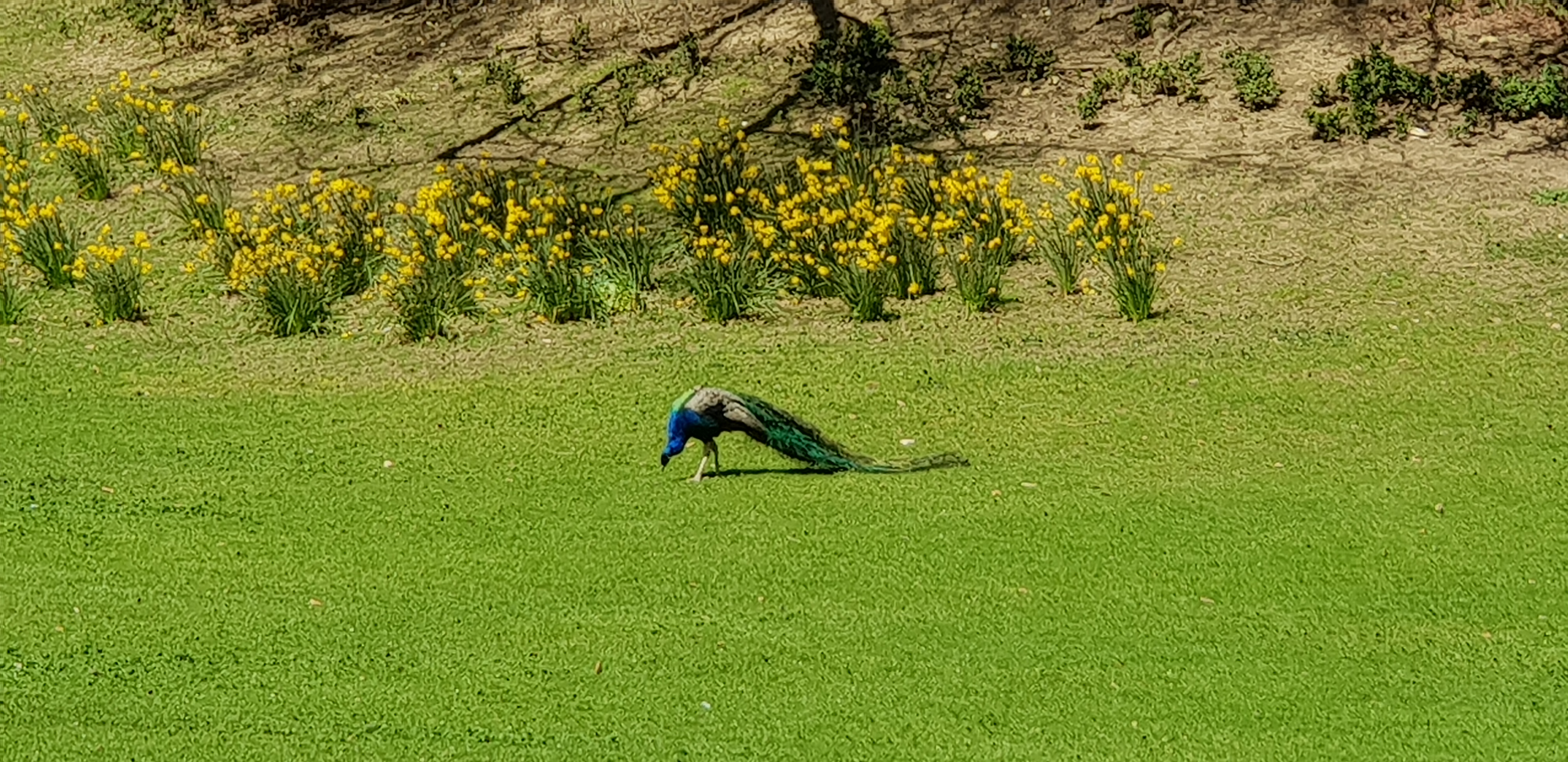 Photo n° 24 de l'avis de Dominique.A fait le 18/04/2018 à 14:35