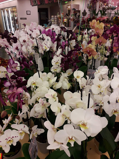 Grocery Store «Stop & Shop», reviews and photos, 930 N Colony Rd, Wallingford, CT 06492, USA