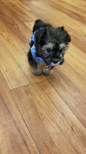 Pet Supply Store «Pet Supermarket, Inc.», reviews and photos, 3911 Lemmon Ave, Dallas, TX 75219, USA